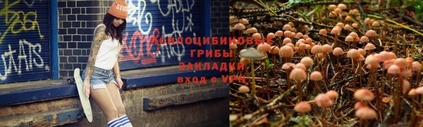 стаф Михайловск