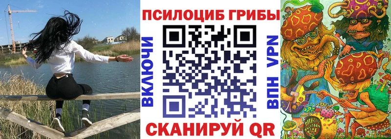 где купить   Игарка  Галлюциногенные грибы Psilocybine cubensis 